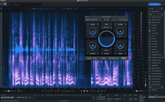 iZotope RX 10-WIN